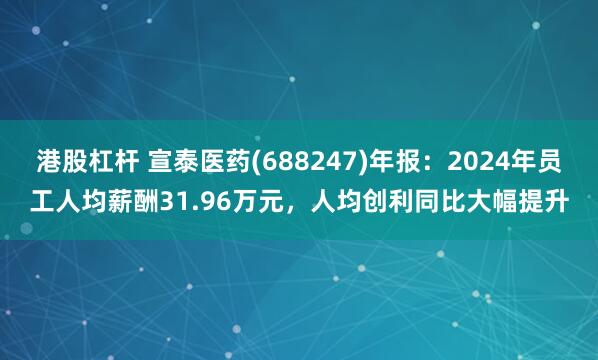 港股杠杆 宣泰医药(688247)年报：2024年员工人均薪酬31.96万元，人均创利同比大幅提升