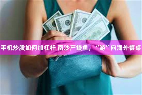 手机炒股如何加杠杆 南沙产鳗鱼，“游”向海外餐桌