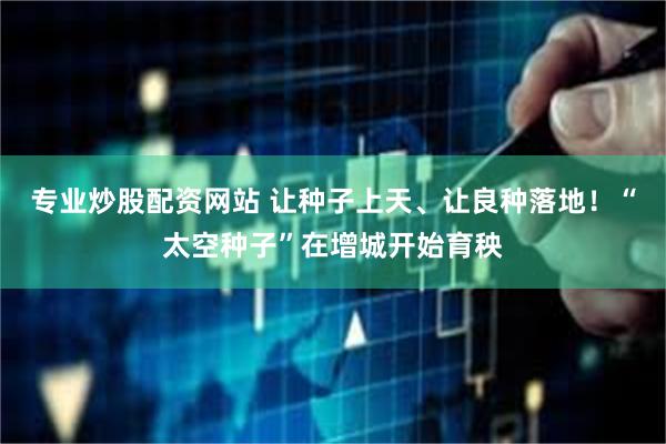 专业炒股配资网站 让种子上天、让良种落地！“太空种子”在增城开始育秧
