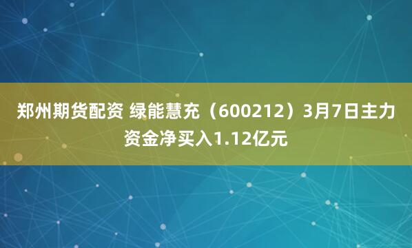 郑州期货配资 绿能慧充（600212）3月7日主力资金净买入1.12亿元
