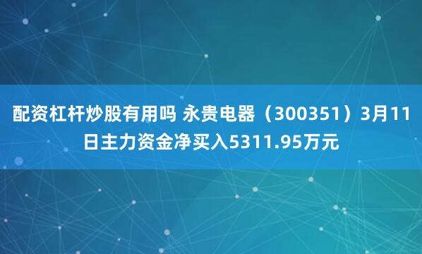 配资杠杆炒股有用吗 永贵电器（300351）3月11日主力资金净买入5311.95万元