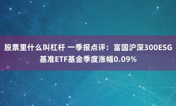 股票里什么叫杠杆 一季报点评：富国沪深300ESG基准ETF基金季度涨幅0.09%