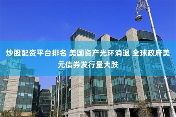 炒股配资平台排名 美国资产光环消退 全球政府美元债券发行量大跌