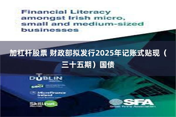 加杠杆股票 财政部拟发行2025年记账式贴现（三十五期）国债