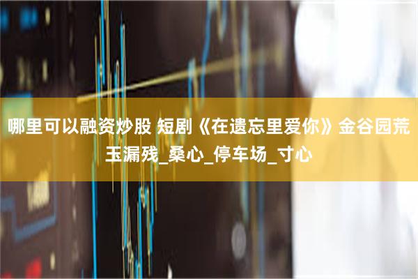 哪里可以融资炒股 短剧《在遗忘里爱你》金谷园荒玉漏残_桑心_停车场_寸心