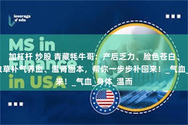 加杠杆 炒股 青藏牦牛哥：产后乏力、脸色苍白、奶水少？虫草补气养血、温肾固本，帮你一步步补回来！_气血_身体_温而