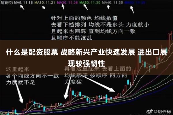 什么是配资股票 战略新兴产业快速发展 进出口展现较强韧性