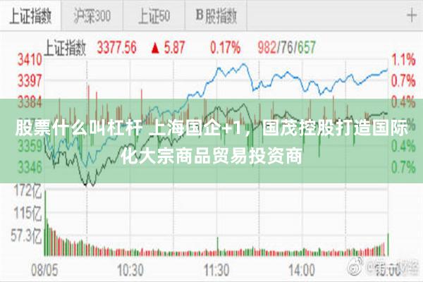 股票什么叫杠杆 上海国企+1，国茂控股打造国际化大宗商品贸易投资商